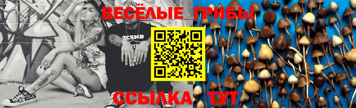 Галлюциногенные грибы Psilocybine cubensis  Вход с VPN  Конаково  Галлюциногенные грибы GOLDEN TEACHER 